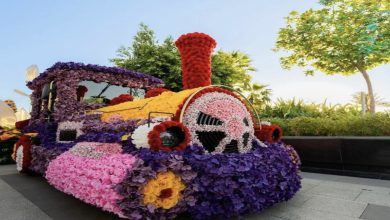 Le parc Prince Majid s'enrichit de l'effervescence et de la culture de la saison de Jeddah