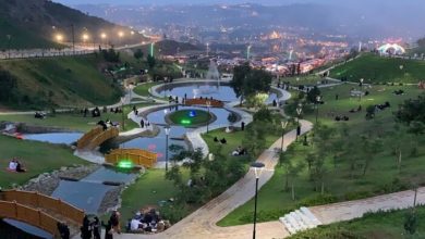 Al-Baha : Leader de la Croissance Touristique en Trois Ans