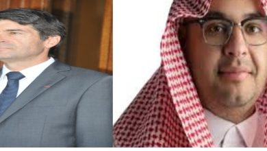 Le Ministre Adjoint de la Culture Rencontre l'Ambassadeur de France