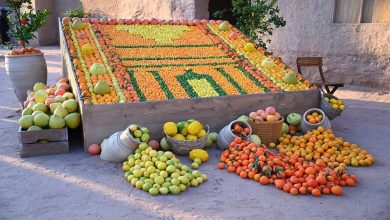 Succès du 9e Festival des Agrumes de Huraim : Une Célébration du Patrimoine Agricole et Touristique de la Région