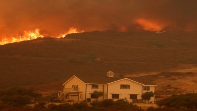 Incendies dévastateurs à Los Angeles : un bilan tragique de 16 morts et des dégâts considérables