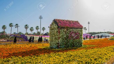 Plongez dans un univers fleuri : le 3ème Festival "Hayat Al Ward" illumine Ñunayzah