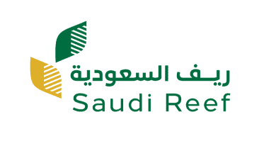 Madinah Révèle ses Trésors Cachés : Une Immersion Unique dans la Beauté Hivernale de la Campagne Saoudienne