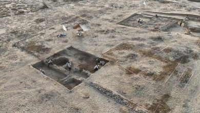 Une Découverte Historique à Al-Sirrain : L’Arabie Saoudite et la Chine Dévoilent un Passé Oublié