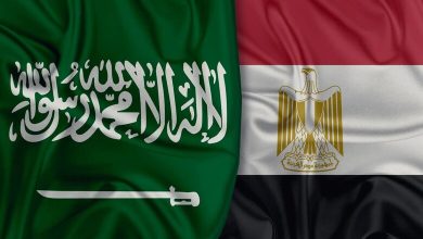 Entretiens saoudo-égyptiens à NEOM dans le domaine des transports et de l'intégration maritime