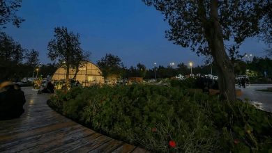 La forêt de Raghadan à Al-Baha attire les visiteurs durant l'été 2025