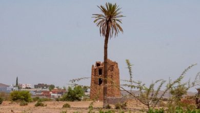 Badr Al-Janoub : La porte du tourisme dans le sud du Royaume