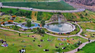 Al-Baha : 23 fermes rurales, entre tourisme et investissement