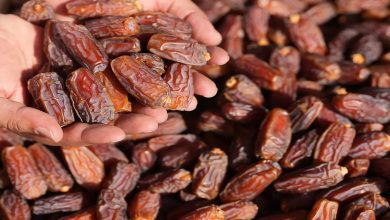 Les dattes de Najran dynamisent le marché local