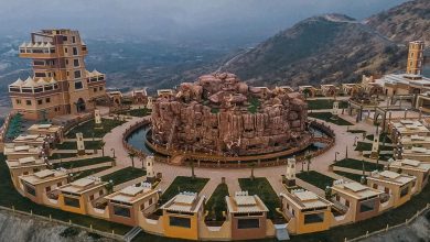 Opportunités d’investissement agricoles et animales à Al-Baha