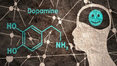 Le rôle clé de la dopamine dans notre bien-être