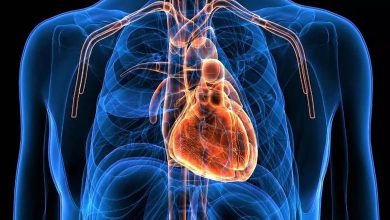 Un test sanguin révolutionnaire révèle l’âge des organes