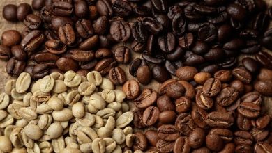 Journée mondiale du café : "Reef Saudi" stimule la production