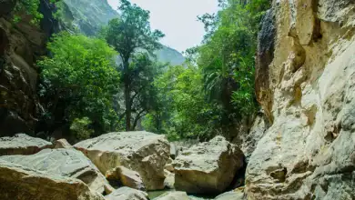 Wadi Lajab : un joyau naturel au cœur de Jazan