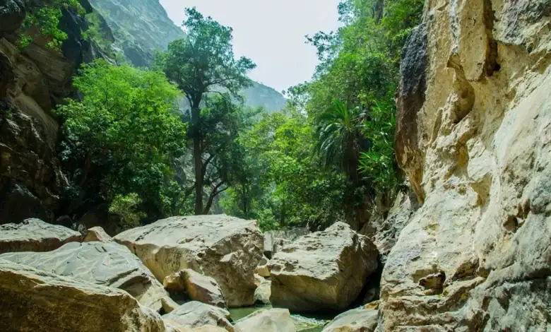 Wadi Lajab : un joyau naturel au cœur de Jazan
