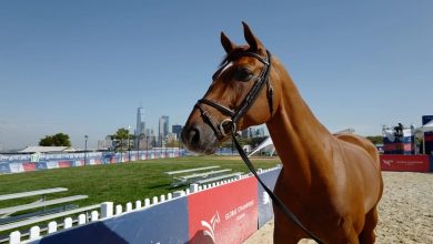 Riyad clôt le championnat Longines par la victoire de Jana Wargers