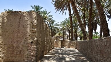 Tayma : joyau historique du nord-ouest saoudien