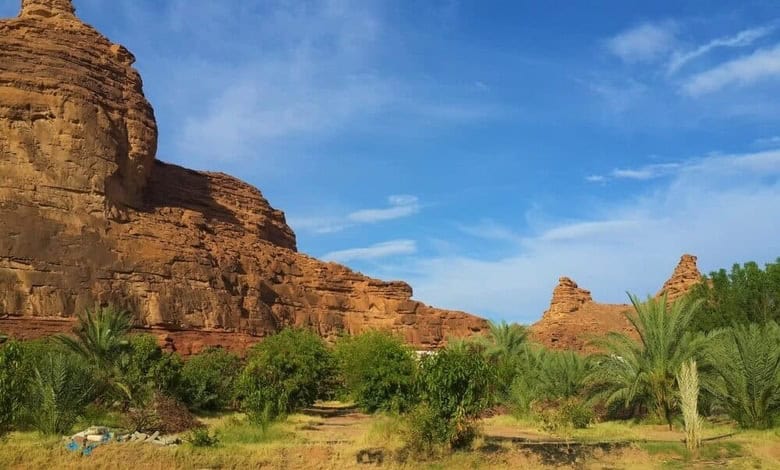Désert d’Arar : Plaisir de l’hiver et aventure