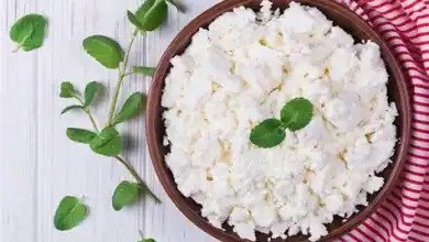 Fromage cottage : le secret d’os solides après cinquante ans