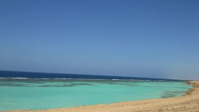 Plages de Jazan en hiver : sérénité et éclat naturel