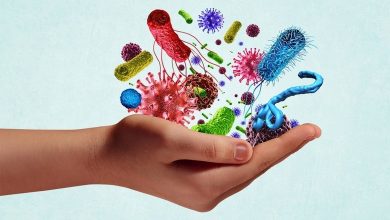 Lancement du Congrès de Tabuk sur les maladies infectieuses