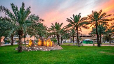 L’hiver à Médine : une expérience touristique et culturelle intégrée