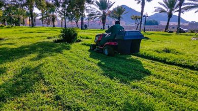 Réseau vert à Al-Jouf : 132 parcs et jardins