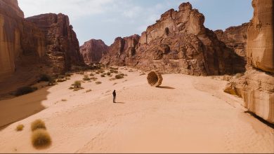 "Fonons AlUla" 2026" révèle une élite d'artistes