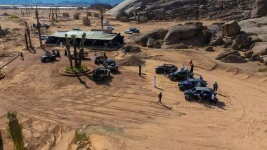 Saison d’hiver à la Réserve du Roi Salman