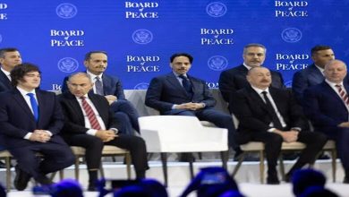 Le Royaume soutient le Conseil de la paix à Davos