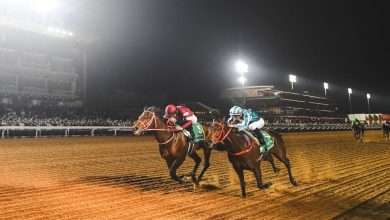 Lancement de la 7ᵉ édition de la Saudi Cup de courses hippiques