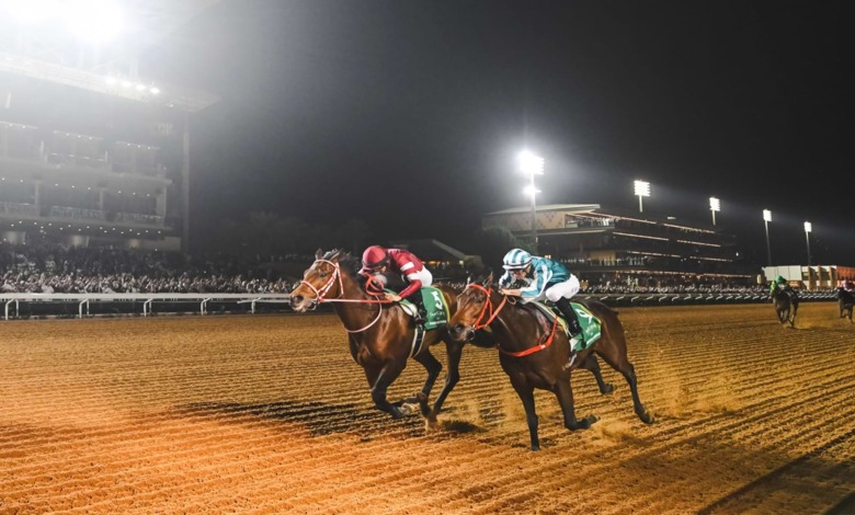 Lancement de la 7ᵉ édition de la Saudi Cup de courses hippiques
