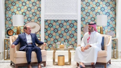 Fraternité Saoudo-Égyptienne : Sommet de Jeddah pour la Paix