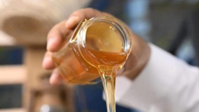 Exposition du miel de Jazan attire 40 000 visiteurs