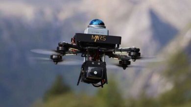 Robots inspirés des oiseaux : une révolution qui dépasse les drones