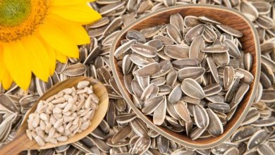 Graines de tournesol : le superaliment beauté et santé 