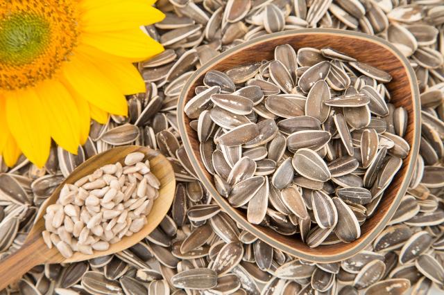 Graines de tournesol : le superaliment beauté et santé 