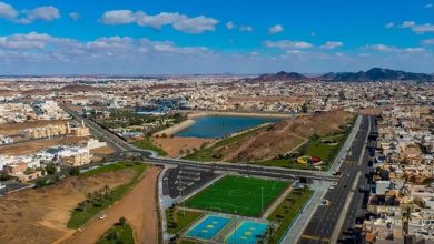 Hail brille parmi les villes intelligentes mondiales