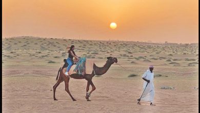 Le parc Al-Ghada à Unaizah : un joyau écologique d’Al-Qassim