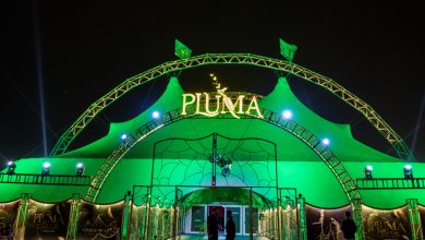 Cirque Bluma à Djeddah : un voyage divertissant entre art et loisirs