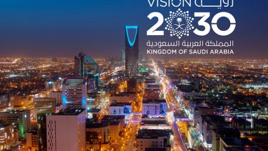 Rapport Vision 2030 : progrès majeurs en 2025