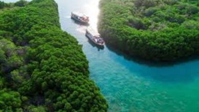 Coopération du Golfe et saoudite pour stabiliser le touristique