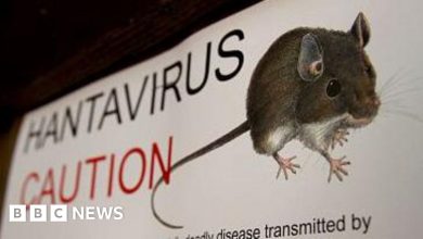 Épidémie de virus Hanta sur un navire de croisière : 3 décès confirmés