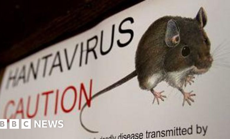 Épidémie de virus Hanta sur un navire de croisière : 3 décès confirmés