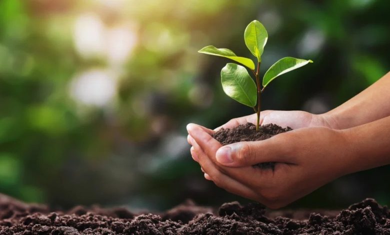 Lancement de la Semaine de l’Environnement saoudienne 2026
