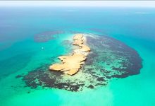 L’île d’Abou Chouraïa, une perle naturelle des îles de Farasan