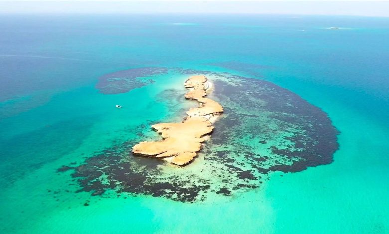 L’île d’Abou Chouraïa, une perle naturelle des îles de Farasan
