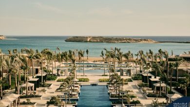 Lancement officiel de la destination Amaala