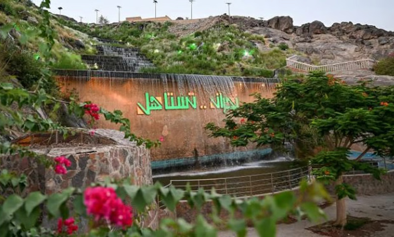 Les cascades de Najran, un joyau touristique et esthétique