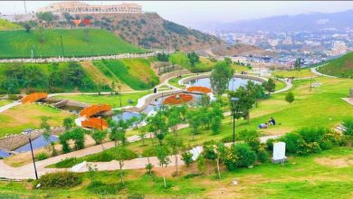 Le Jardin des fleurs du parc Prince Hussam à Al-Baha se pare de 30 000 plants de roses